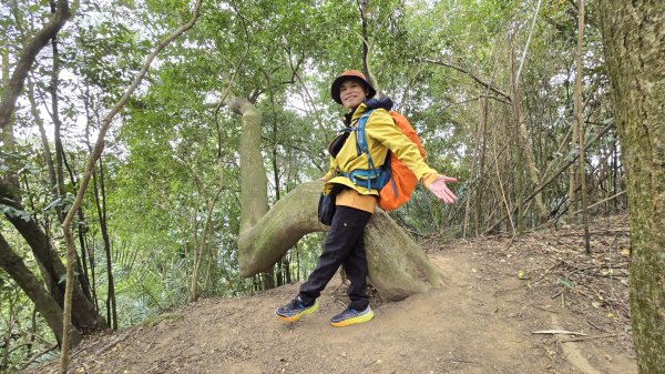 寶山水庫環湖步道O形＋北埔老街2676551