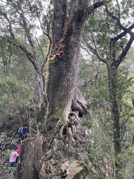 霞喀羅古道2676922