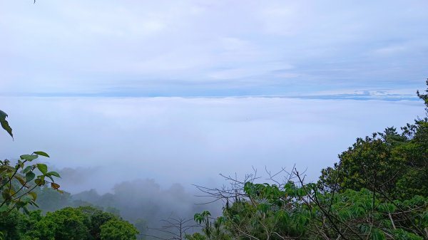 大坑頭嵙山出大景（山嵐海）2144649