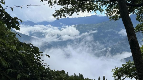 大板根+北坑山+東洗水山2551671