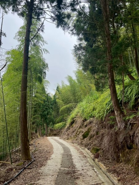 嵐山再古坑。五元兩角 木馬古道2806225