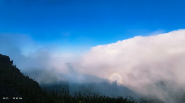 #小觀音山西峰 #雲瀑 #觀音圈 #夕陽 11/292948816