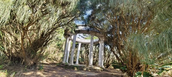 2025/01/04_鹿廚坑健行步道2683492