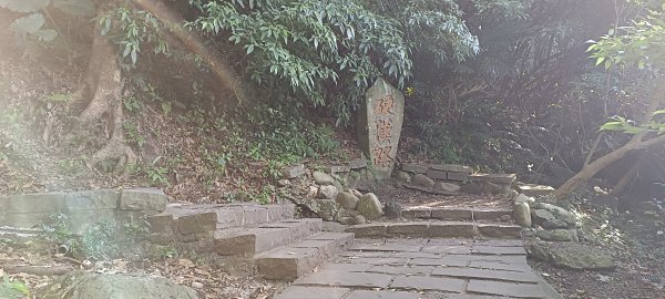 20240113_硬漢嶺步道(觀音山)2401534