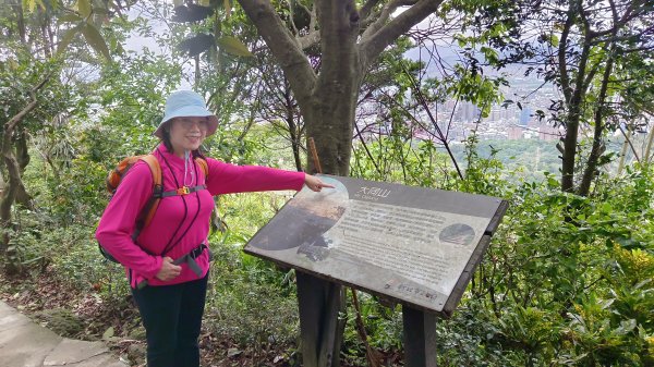 (姨婆趴趴走)第五十集:新北樹林大同山、青龍嶺、大棟山諸峰連走2751563