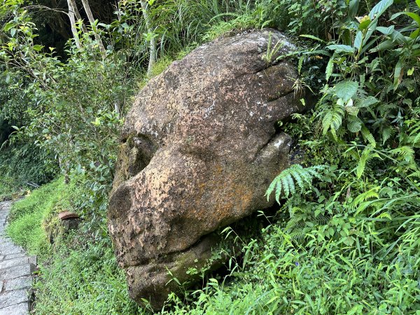 [微笑山線_第九段] 2025_0914 二格山系_皇帝殿東峰2889474