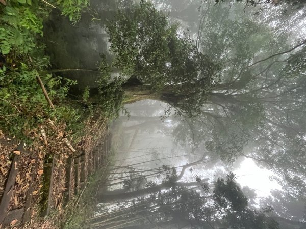 20230924_大湖尖山、大凍山（嘉義縣小百岳）2762749