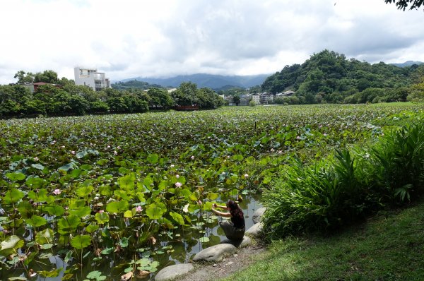 東勢林業文化園區1078574