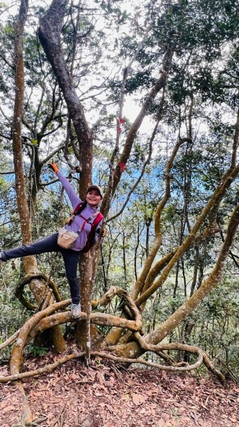 🌈1/18(六)小百岳雙收~大橫屏山+九份二山順遊賞梅🌈FB：熊熊趴爬走 歡迎加入2692539