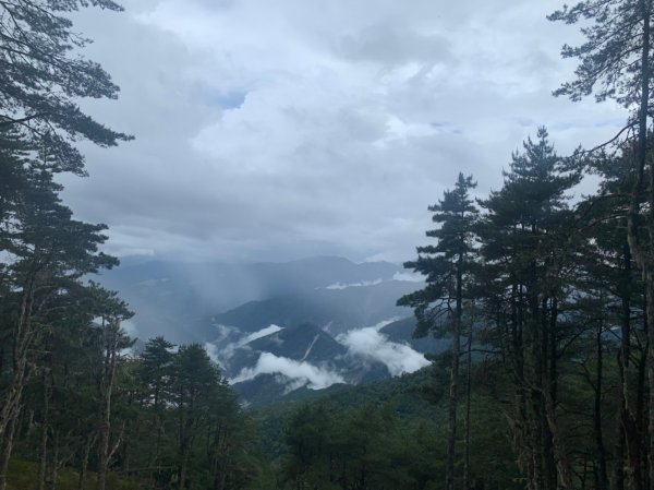 20220625台東海端向陽山、向陽山北峰、三叉山、嘉明湖1745569