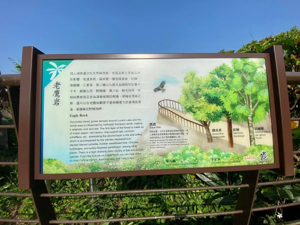 老鷹岩賞鷹趣1322433