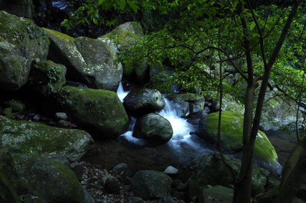 嵩山百年梯田、青山瀑布1293897