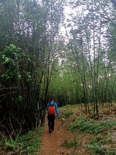 【臺北大縱走 6】中華科大→捷運麟光站、【小百岳集起來】#013 南港山 H375m2470648