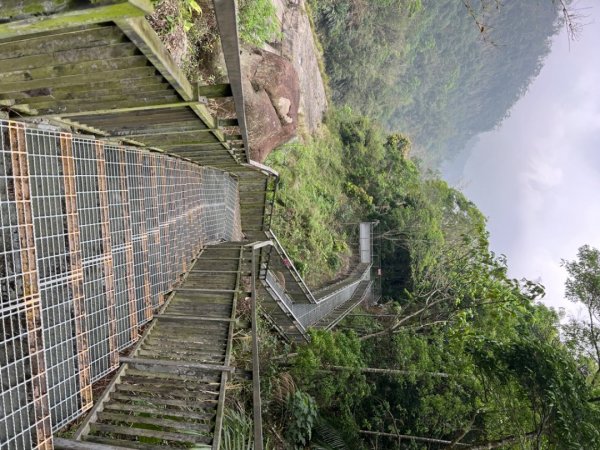 2026騎車跑了一趟雲嘉，入住樹屋3057555
