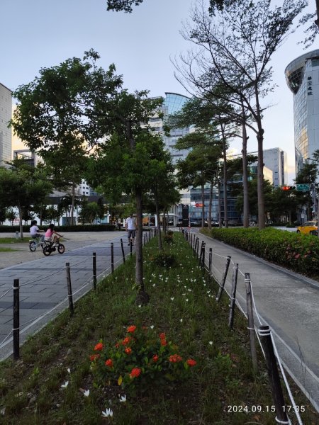 大安森林公園、劍潭公園、大港墘公園【走路趣尋寶】【臺北健走趣】2594685