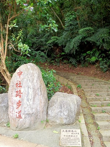 《親子同遊翠山步道→小溪頭環狀步道→大崙頭尾山步道》,【小百岳集起來】#008 大崙頭山 H476m1697511