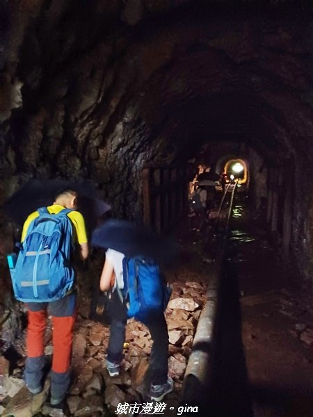 【嘉義縣阿里山鄉】避暑山林芬多精。 石山引水道步道、鹿林前山瀑布2280182