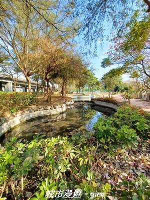 【苗栗獅潭】天晴賞花趣。 協雲宮櫻花步道x獅潭鄉神秘小徑x獅潭義民廟x銅鑼炮仗花海公園2999172