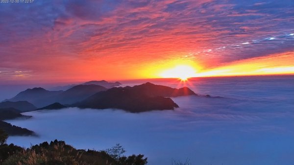 阿里山雲瀑&雲海/富士山直播即時視訊1975845