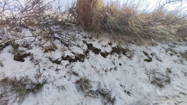 合歡山昆陽2701223