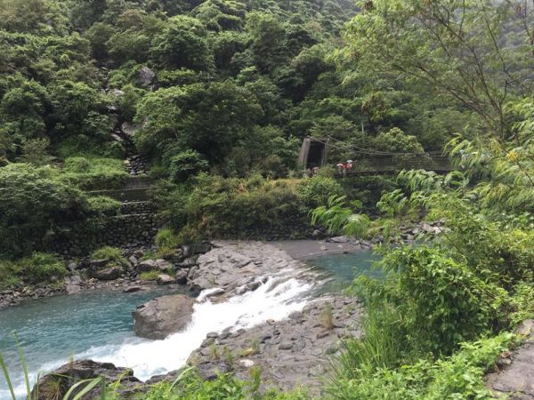 富源國家森林遊樂區步道群184242