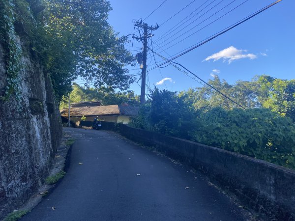 【四獸山 Short】虎豹象先行！獅山封閉中，等新步道開箱再相見2888846