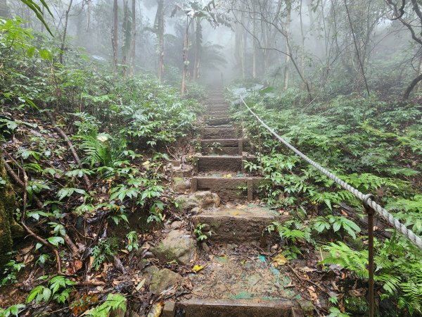 20241208上坪登五指山2683673