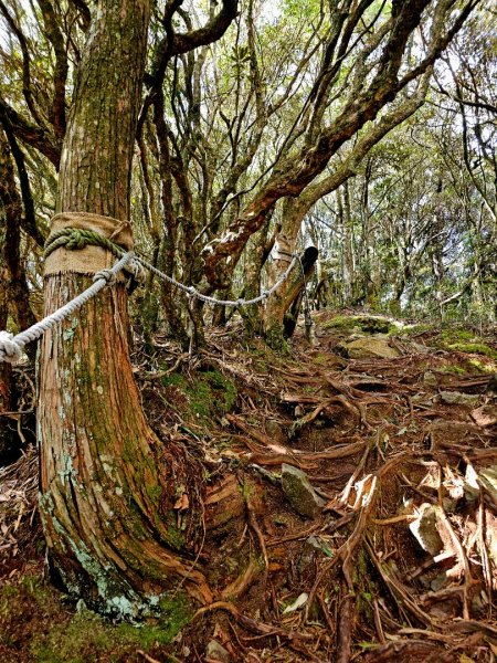 橫嶺山步道 - 2024年最有意義的山2653699