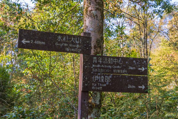 日月潭最高峰-水社大山3025299