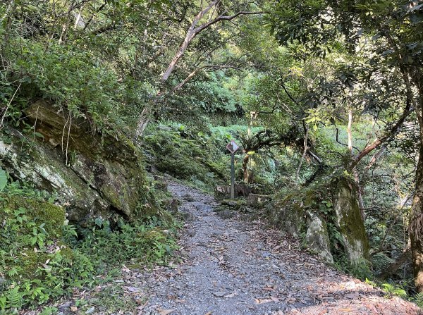 [玉山尋寶任務-03/12] 2025_0810 瓦拉米步道2857481