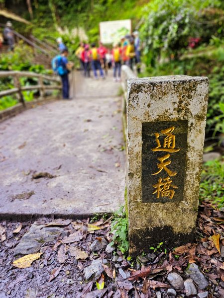 小百岳集起來-三角崙山2185384