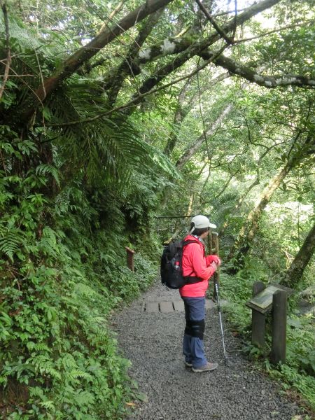 林美石磐步道．淡江蘭陽校區268995