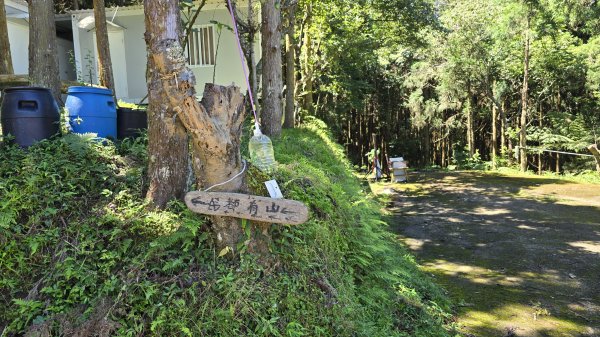 民都有山，夏日首選，好涼爽的中級山，新竹熱門登山景點，時而陽光穿林，時而濃霧彌漫，非常迷人。2827240