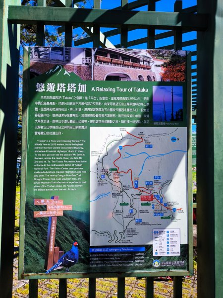 2025-08-24 塔塔加-大鐵杉-鹿林山莊-鹿林前山-鹿林山-黑森林-玉山登山口-上東埔2869066