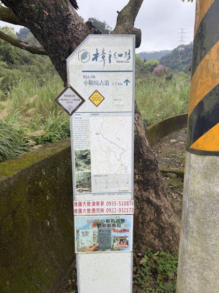 [樟之細路_第一大段RSA08] 2026_0328 小粗坑古道3025750