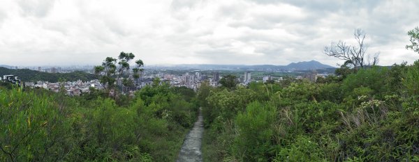 軍艦岩、丹鳳山親山步道1678625