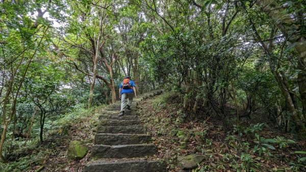 112.05.13觀音山縱走尋寶趣(下)占山-小北插-鷹仔尖2149253