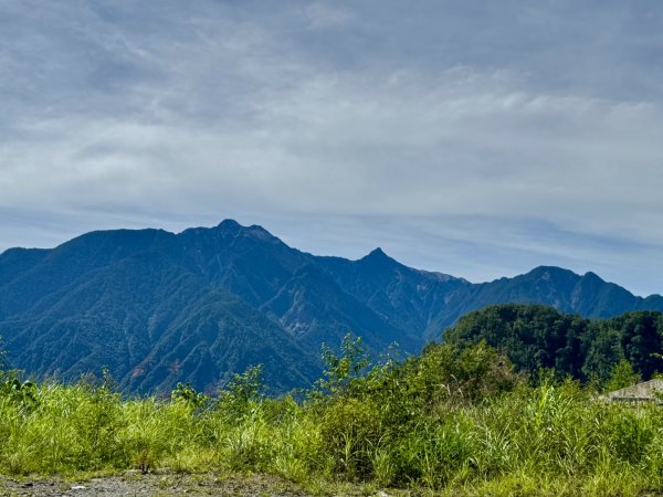 新中橫看玉山 首訪鹿林神木2836969