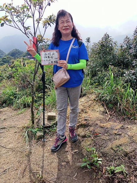 【瑞芳四秀】白象山(又名弘明山)→秀崎山→瑞芳山→龍潭山1651487