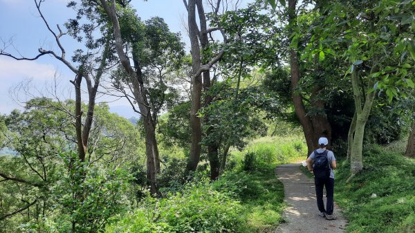 《台中》貓仔坑｜后里鳳凰山觀音山步道O繞202305282164568