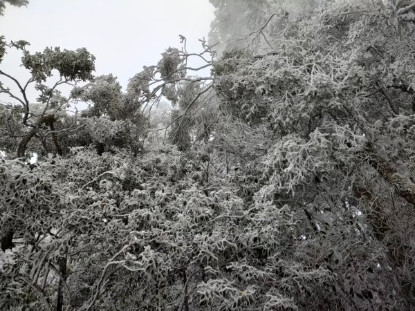 雪季北得拉曼2956393