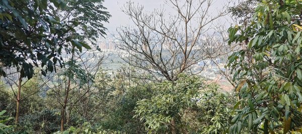 福源山步道2730318