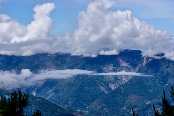 郡大林道-郡大山～2226197