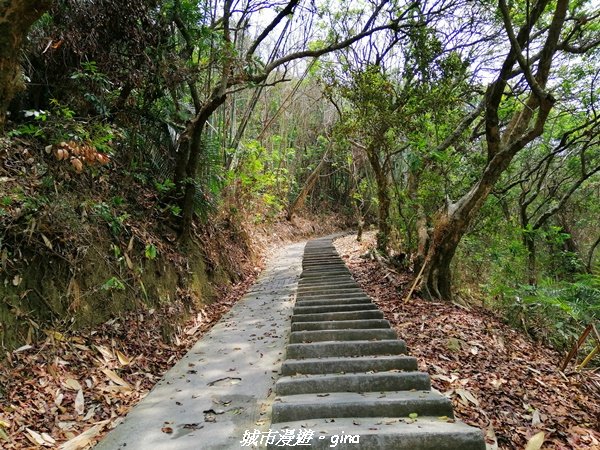 【南投。草屯】蜿蜒步道很親民。 中興新村虎山步道1383075