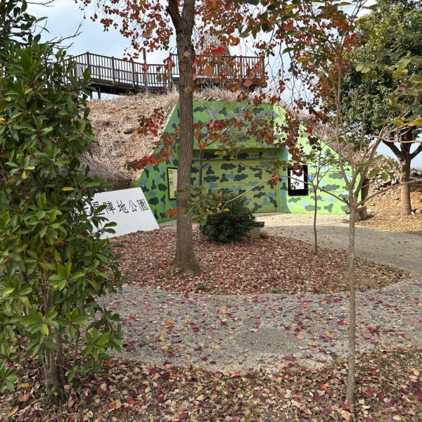 20260118 松柏坑山、田園茶香賞茶步道(小百岳-松柏坑山)2992827