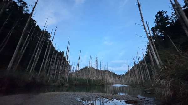 水漾森林+瞑月神木2768816