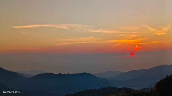 雲山水花鳥蝶 - 天龍國阿伯的日常7/18 & 21、22、292553985