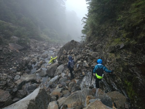 20240913-15秀霸-東霸尖山-大霸北稜2596173