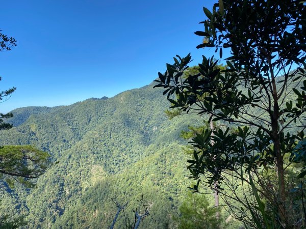 谷關七熊-波津加山2609311