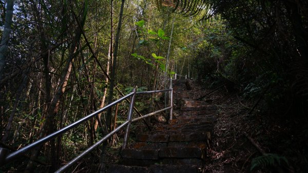 大湖尖山 鳳凰瀑布 紫雲寺1288682